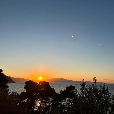 Villa Ammos *
